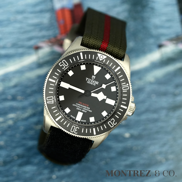 Tudor Pelagos FXD 42mm 25717N-0001